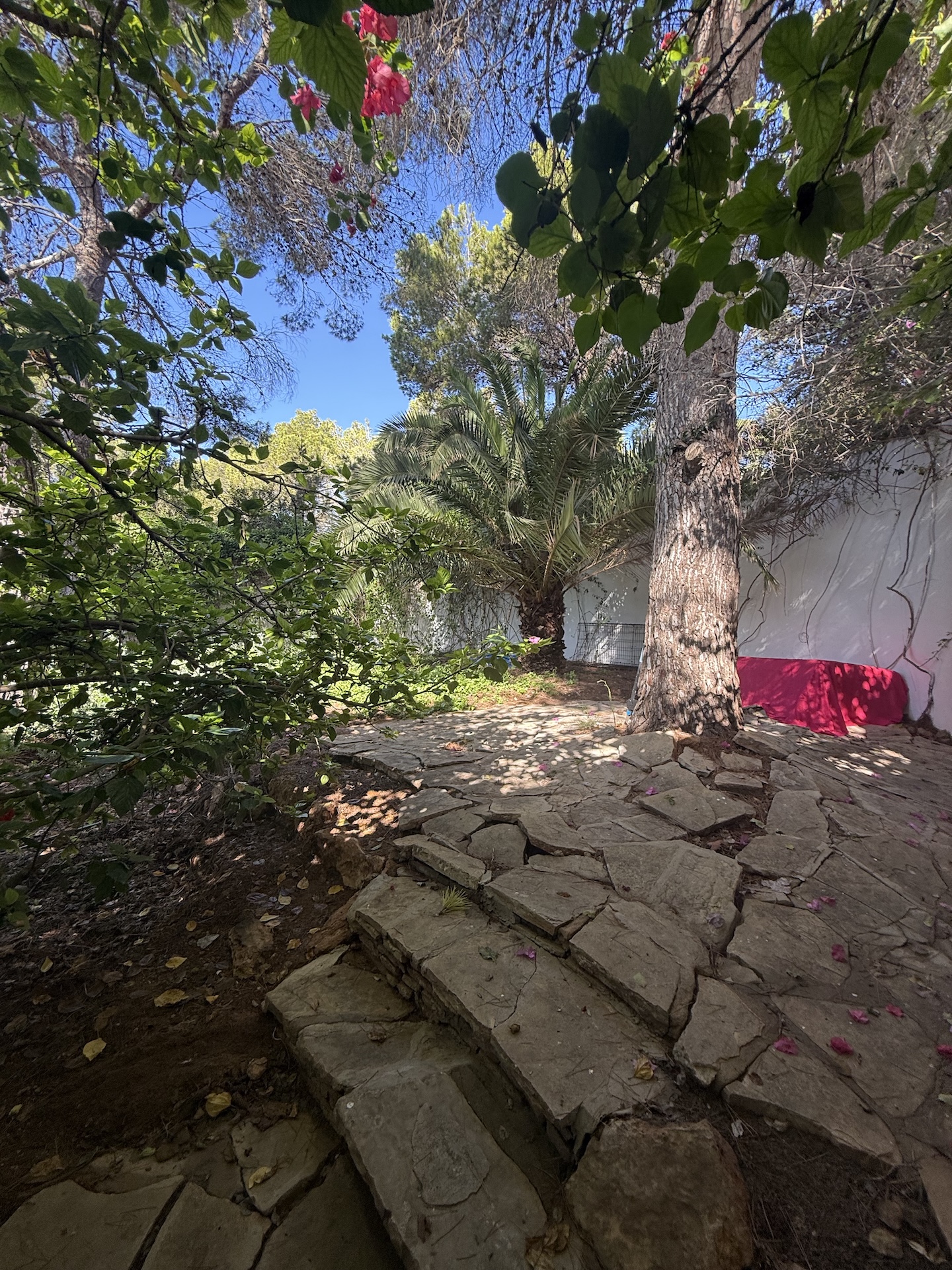 Resa Estates for sale te koop project Cala Tarida Ibiza pool garden 2.jpeg